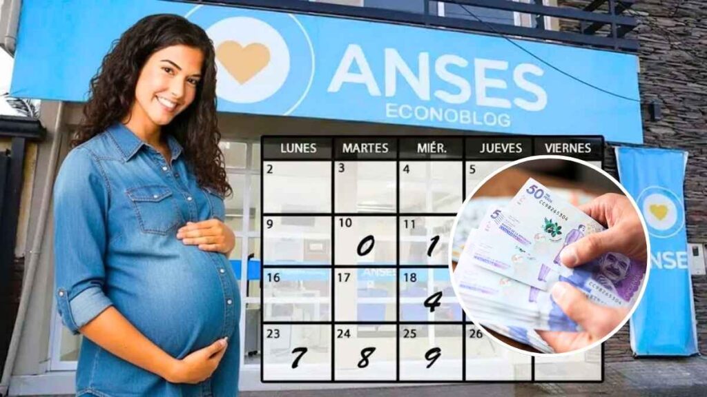 ANSES 2026 cómo recibir pagos mensuales y acceder a bonos extraordinarios paso a paso