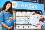 ANSES 2026 cómo recibir pagos mensuales y acceder a bonos extraordinarios paso a paso